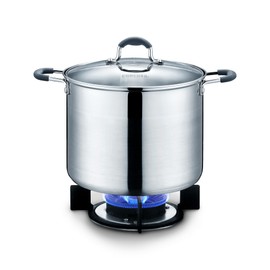 CONCORD Stainless Steel Stock Pot with Glass Lid (Induction Compatible) (15)