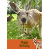 Kangaroo Birthday Card
