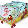 Real Fruit Snack – Strawberry (Pack of 18) – Healthy,
