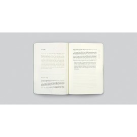 ESV Prayer Journal: 30 Days on Peace (Paperback)