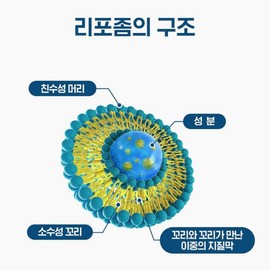 Liposomal multi-vitamin post-natal nutrition supplement for pregnant women, 1 month supply of convenient multivitamin C / 리포좀 멀티 비타민 출산후 영양제 임산부 속편한 종합 비타민씨 1개월분