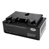 Savage Gold Mount Battery Power to 120V Voltage Inverter