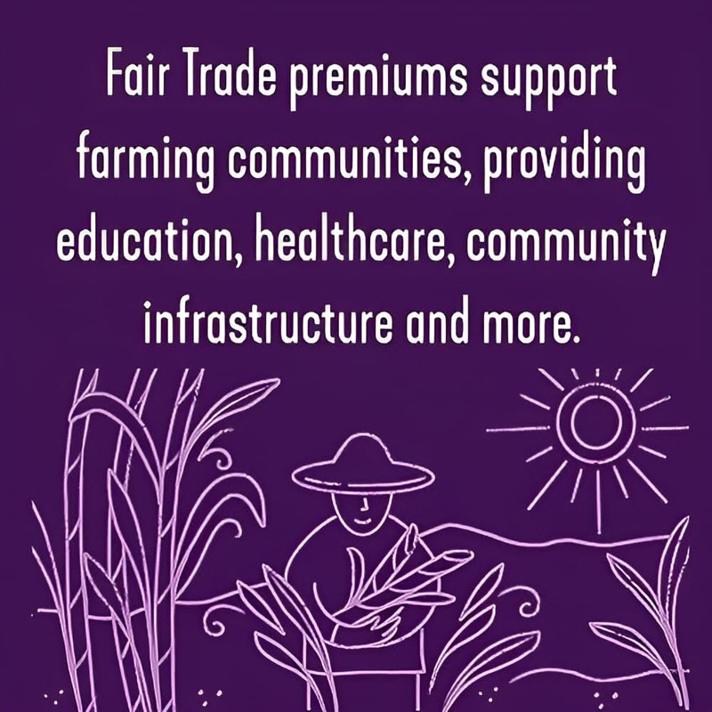 Wholesome Sweeteners 16-Ounce Organic Cane Sugar, Fair Trade, Non GMO,