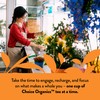 Choice Organic Teas Choice Organics - Organic Decaffeinated English Breakfast