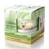 Wild Ferns Lanolin Day Crème 100g