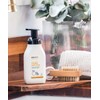ecostore Foaming Hand Wash Pump, Citrus Burst, 8.5 fl oz