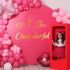 Onederful 1st Birthday Girl Birthday Party Theme Backdrop Sticker Decorations