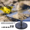 Bird Bath Fountain Floating Bird Fountain Pump Solar Powered Floating