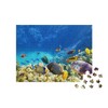 puzzleYOU: Puzzle 500 Piece Underwater World with Coral and Tropical