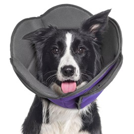 Dog Cone for Dogs After Surgery,Adjustable Protective Dog Recovery Collars & Cones for Large Medium Small Dogs Cats,Comfy Soft Dog Cones Prevent Pets from Touching Stitches Rashes,Wounds,Purple,XL