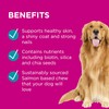PAW By Blackmores Coat, Skin + Nails (For Dogs approx