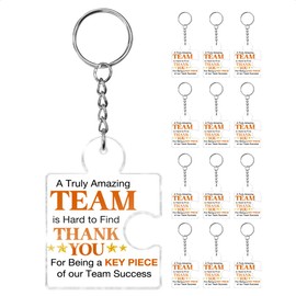 Team Thank You Appreciation Gifts Bulk for Coworkers Employees Staff Teachers Volunteer Colleagues Coach Mentor, 12 Pcs Best Team Ever Gifts Inspirational Teamwork Acrylic Puzzle Piece Keychains