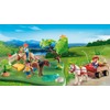 Playmobil 5457 Country Pony 40th Anniversary Compact Set
