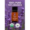 OLEUM VITAE Aceite Esencial de Lavanda. Lavandula Angustifolia. 100% Puro