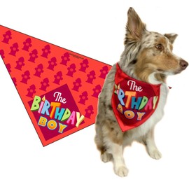 Stonehouse Collection Birthday Boy - Happy Birthday Dog Bandana - Dog Birthday Scarf Accessory - Great Dog Gift Idea (Medium to Large)