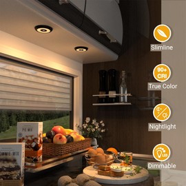 acegoo 12 V LED Lamps, Motorhome Ceiling Light, Two Colours (3000 K/Blue Night Light) with Dimmer Switch for Boat, Yacht, Caravan, Camper, PC Material, Dimmable, Surface-Mounted Light, 4 Pieces, Black