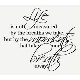 Wall Décor Plus More WDPM1303 Life Isn't Measured by The Breaths You Take, But by The Moments That Take Your Breath Away Wall Vinyl Sticker Saying Decal, 23-Inch W by 20-Inch H, Black