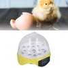 7 Eggs Incubator Easy Temperature Control Mini Egg Incubator for