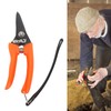 Hoof Shear Red Stainless Steel High Carbon Steel Multifunctional Hoof