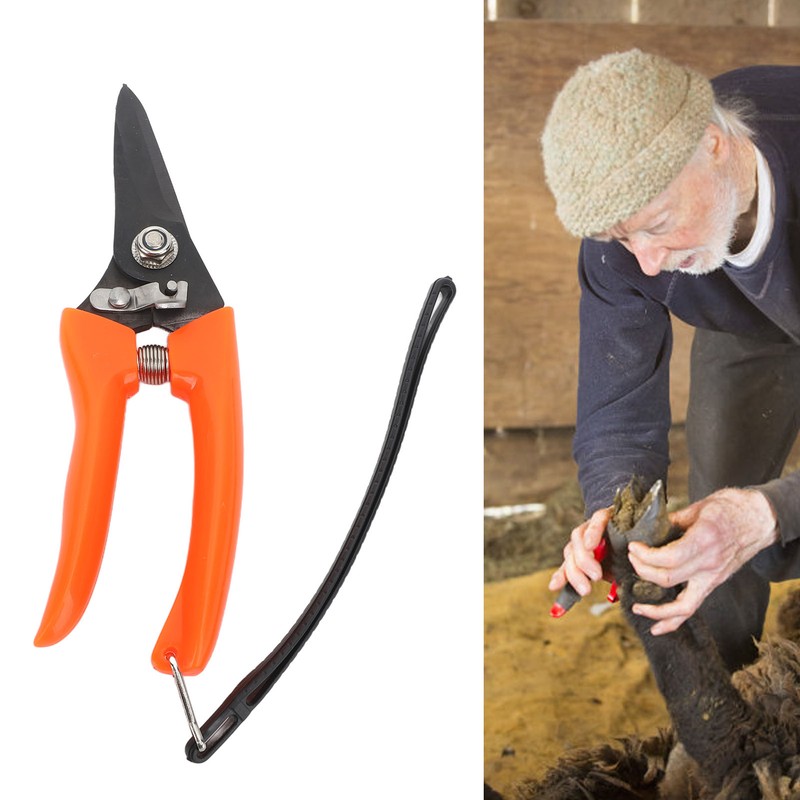 Hoof Shear Red Stainless Steel High Carbon Steel Multifunctional Hoof