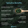 ENERGYBITS - Organic Spirulina Tablets - Plant-Based Algae Superfood -