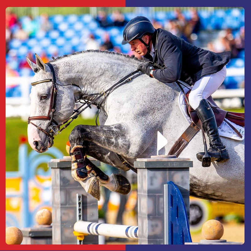 Equine America Cortaflex Regular Strength Powder | Premium Ready To