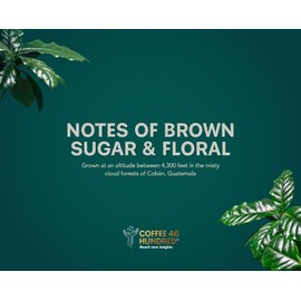 COFFEE 46 HUNDRED® Cobán Ground Bean Specialty Coffee from Guatemala - 100% Arabica Single Origin - Medium Roast - 311g/11oz - High Altitude Coffee - Grown at 4,300 ft