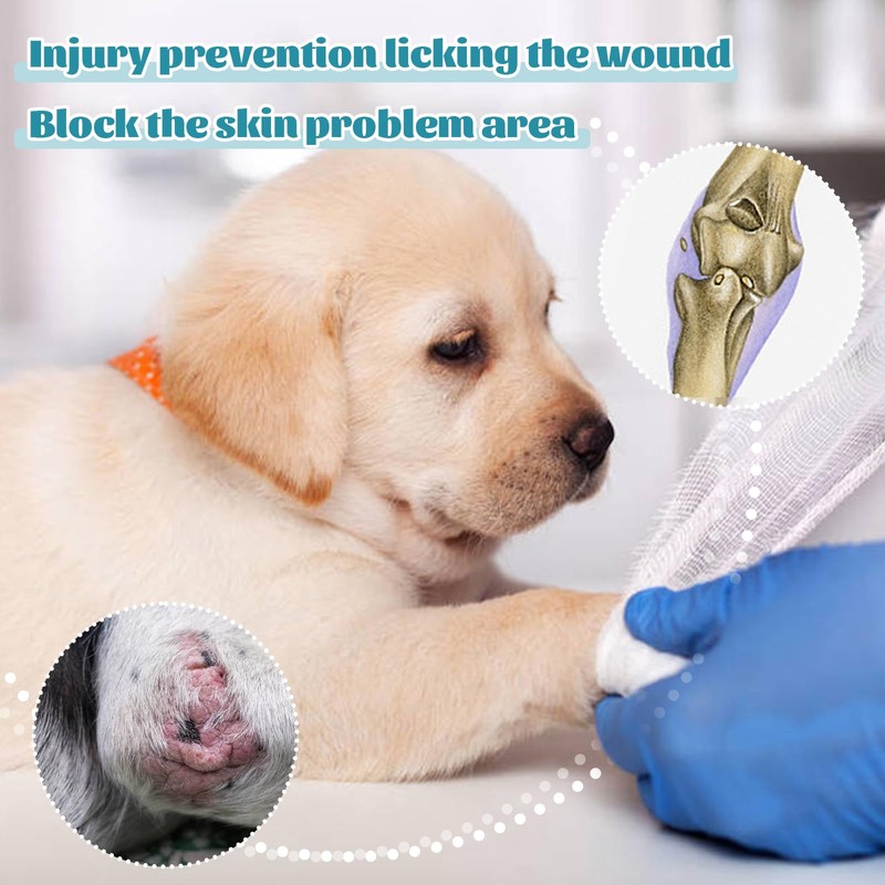 ROZKITCH Dog Wound Cover for Front Right Left Leg, Pet