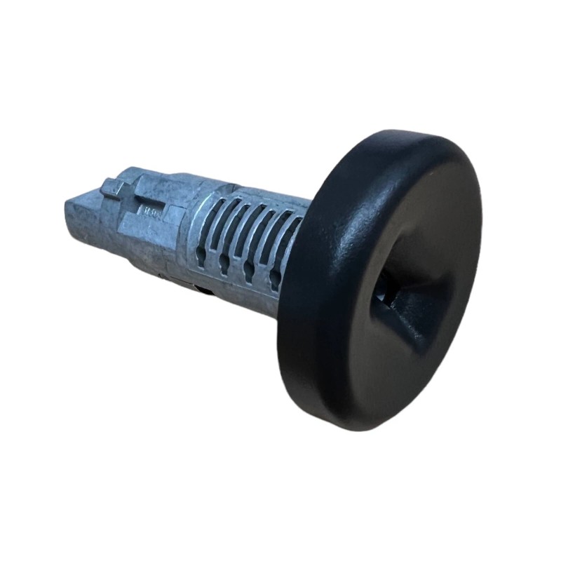 General Motors 2007-2013 CHEVY SILVERADO SIERRA TAHOE IGNITION LOCK CYLINDER