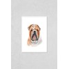 Poster Reproduction of Bulldog dog breed isolated on white background