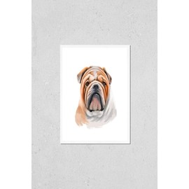 Poster Reproduction of Bulldog dog breed isolated on white background digital art illustration. Medium-sized breed of dog English Bulldog or British Bulldog muscular, hefty dog with wrinkled