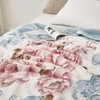 Regular Blanket X2 Double Acrylic Thick Mink Microfiber Blanket 11