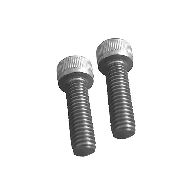 Ultra / Worx Pair of Replacement Screws Wheels Center Cap