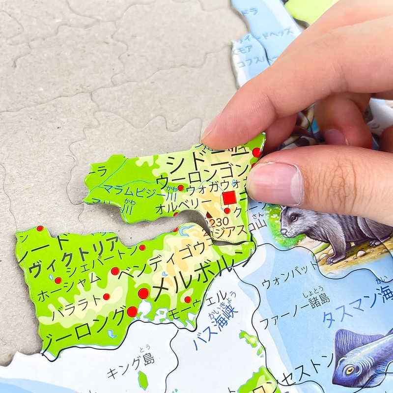 Jigsaw Puzzle, Map, Australia, Puzzle, World Map, Learning Puzzle, Jigsaw
