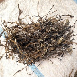 자연산 칡순 100g 갈용 칡순차 칠순 갈용 Natural Wild Arrowroot 100g Galyong Arrowroot Tea Chilsun Galyong