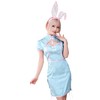 Clearstone Royal China Cosplay Halloween Rabbit China Baby Blue Ladies