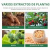 Anna Crema Ñame Silvestre Orgánica Equilibrio Hormonal Raíz Mujeres Que