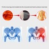 Electric Heated Hip Brace Vibration Massage Hip Groin Thigh Support