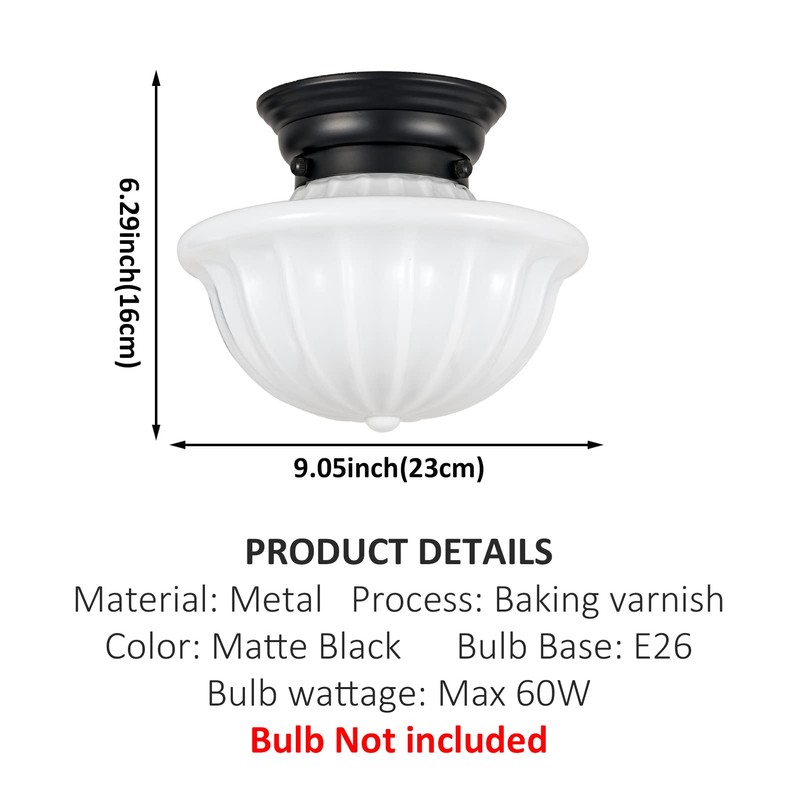youngrender Black Schoolhouse Light Fixture Ceiling, 9 Inch Hallway Semi