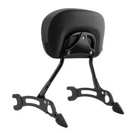 SWESGI Sissy Bar for Indian Challenger Chieftain Indian Pursuit Springfield Roadmaster Vintage 2014-2023, Quick Release Passenger Backrest Pad 17 inches (Black)