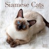 Siamese Cats Calendar 2026 | 12 Month Wall Calendar |