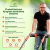 Outsidepride Fireball & Hattrick Rye Grass Seed Blend - 5