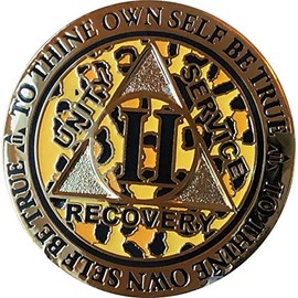 RecoveryChip 2 Year AA Medallion Reflex Leopard Gold Plated Animal Print Chip II