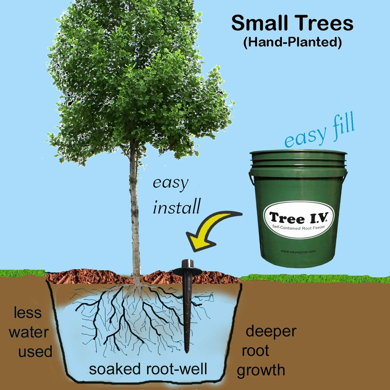 Tree I.V. DIY Root Seeker 10-pk w/Plugs & Drill |