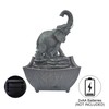 Nature's Mark 7.5" Playing Elephant & Baby Elephant Tabletop Water