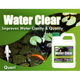 Pond Worx Water Clear - Concentrated Formulation Improves Water Clarity and Quality, Helps Clear Cloudy Water, Safe for Fish, Pets, and Plants - 1 Quart (32ounces)