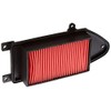 Champion 100602315 Air Filter