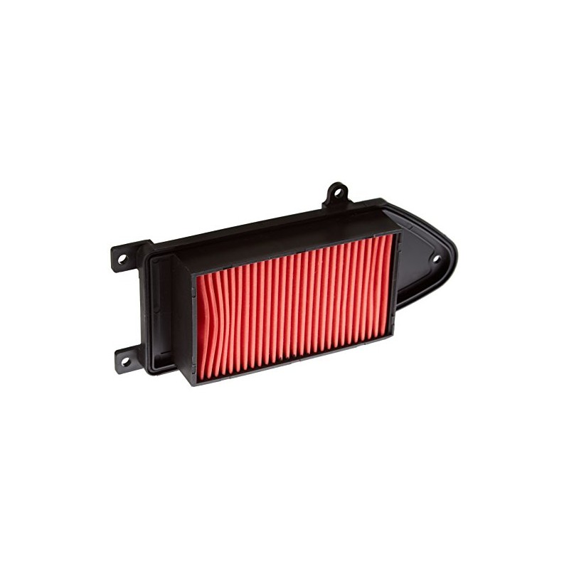 Champion 100602315 Air Filter