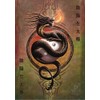 Anne Stokes Poster Flag Flag Yin Yang Protector