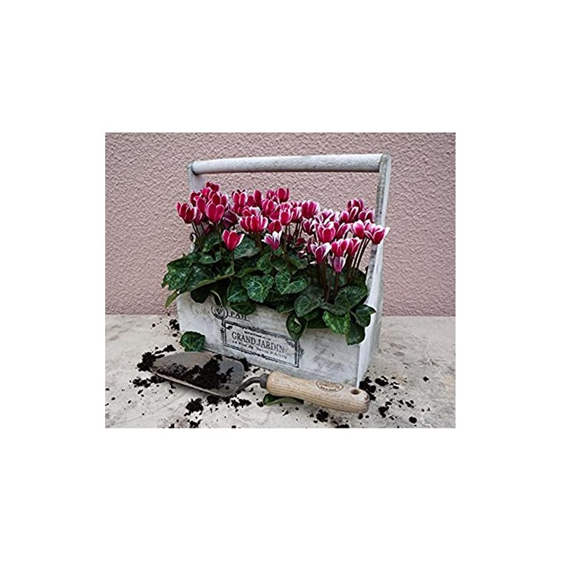 DeWit Forged Hand Trowel